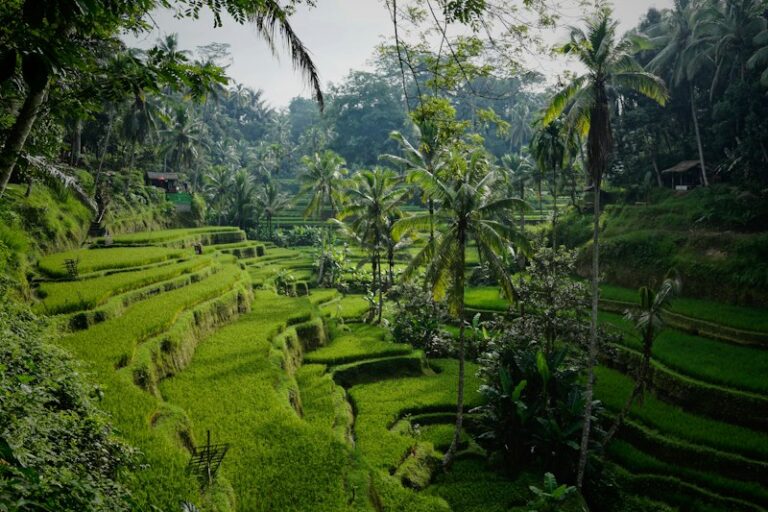 Bali Relax Paket